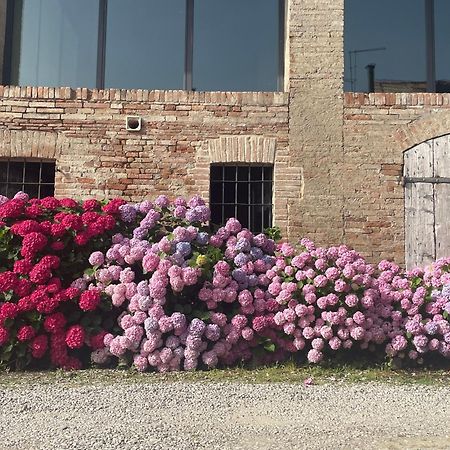 B&B Il Conte Giacomo Viarolo Dış mekan fotoğraf